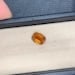 Natural Honey Brown Bastnasite Gemstone: Loupe Clean Cushion Cut, 4.60 Carat - 18