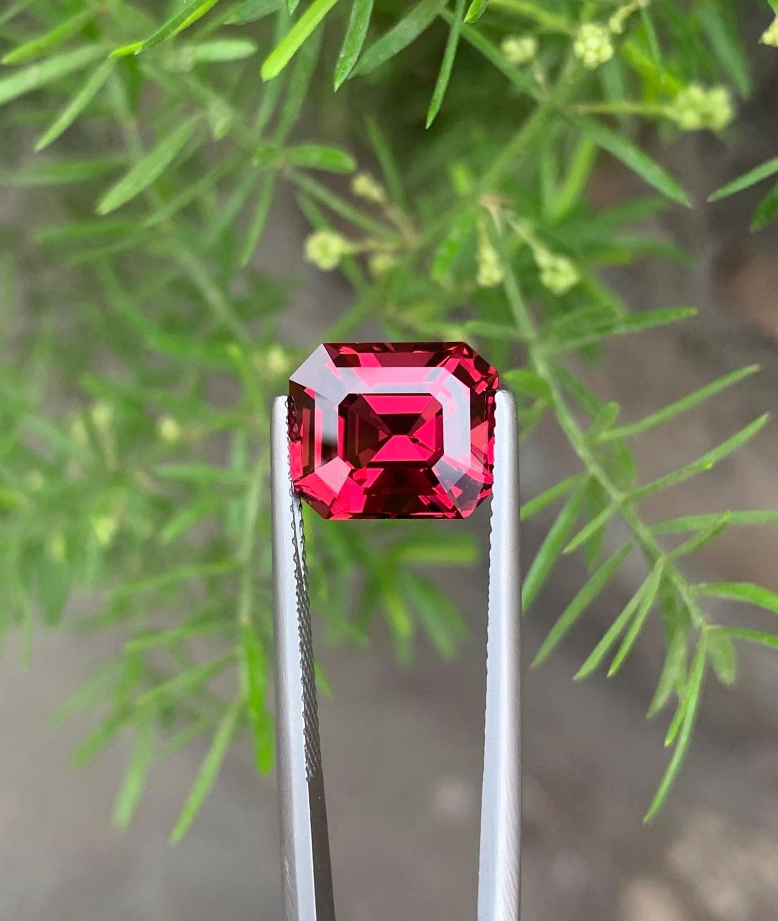 Tanzania Bloody Red Garnet Gemstone: Emerald Cut, 6.33 Carat - 5