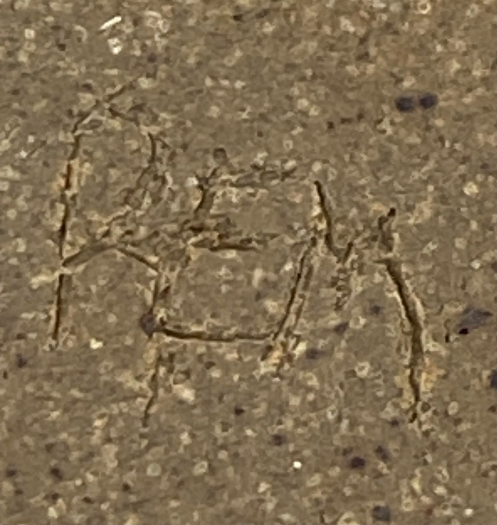 Contemporary Studio Pottery Handcrafted Blue White Brown Pitcher Artist Signed "œrem" - 10