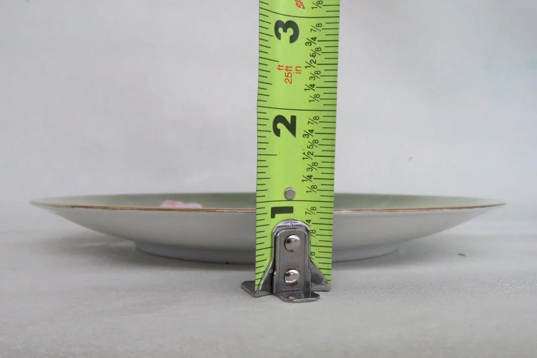 Rs Germany Porcelain Pink Roses Floral Green Decorative Plate - 8