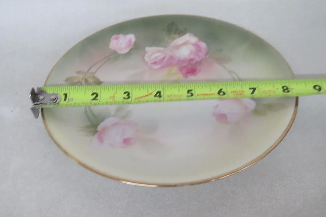 Rs Germany Porcelain Pink Roses Floral Green Decorative Plate - 9