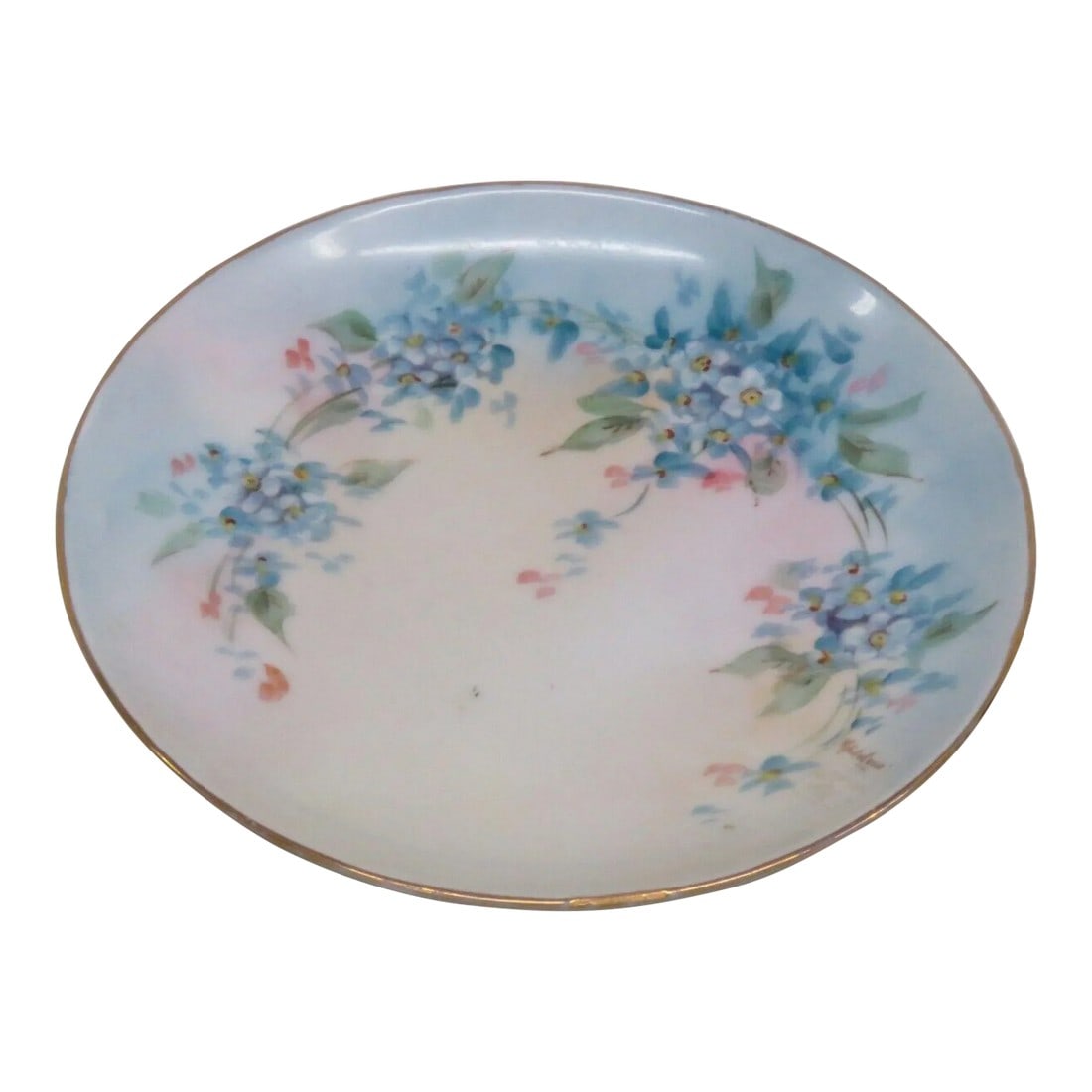 Hutschenreuther Bavaria Favorite Porcelain Forget Me Nots Small Plate (1 of 10)
