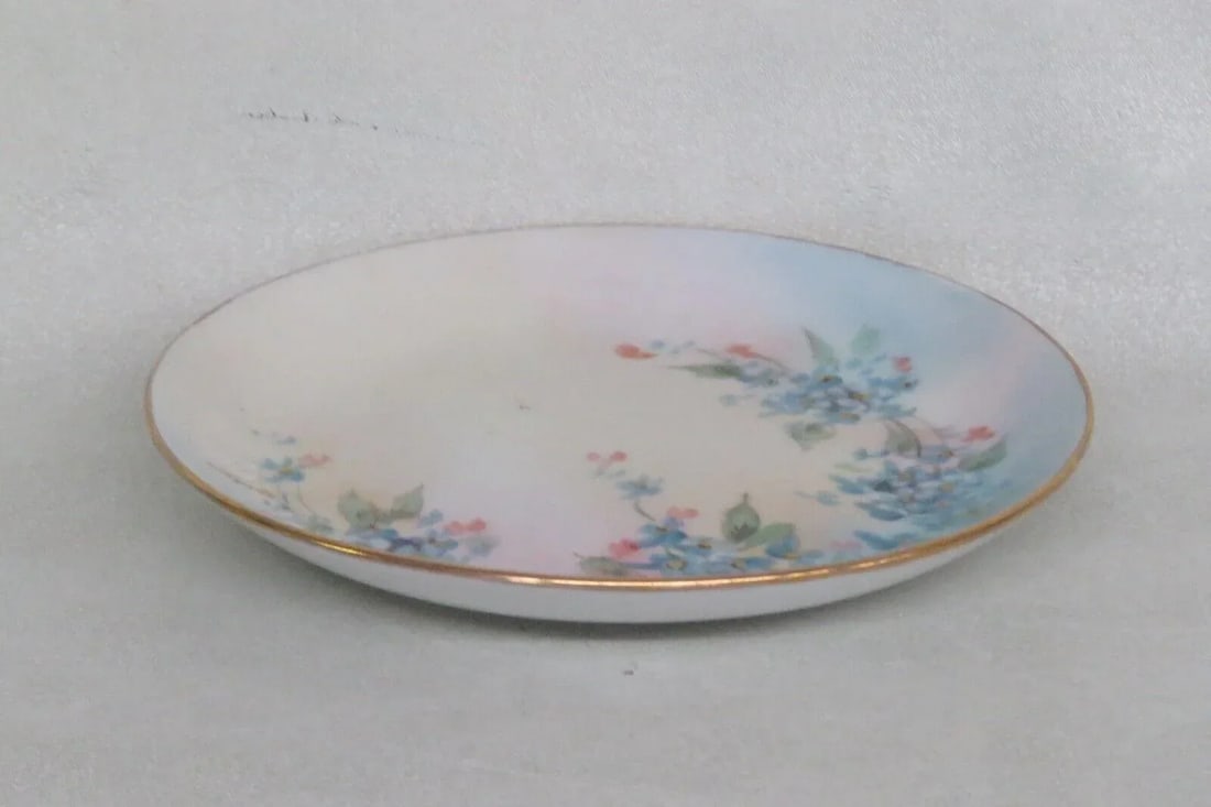 Hutschenreuther Bavaria Favorite Porcelain Forget Me Nots Small Plate - 2