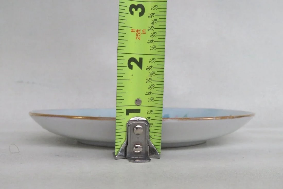 Hutschenreuther Bavaria Favorite Porcelain Forget Me Nots Small Plate - 6