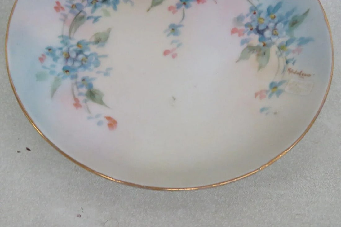 Hutschenreuther Bavaria Favorite Porcelain Forget Me Nots Small Plate - 8