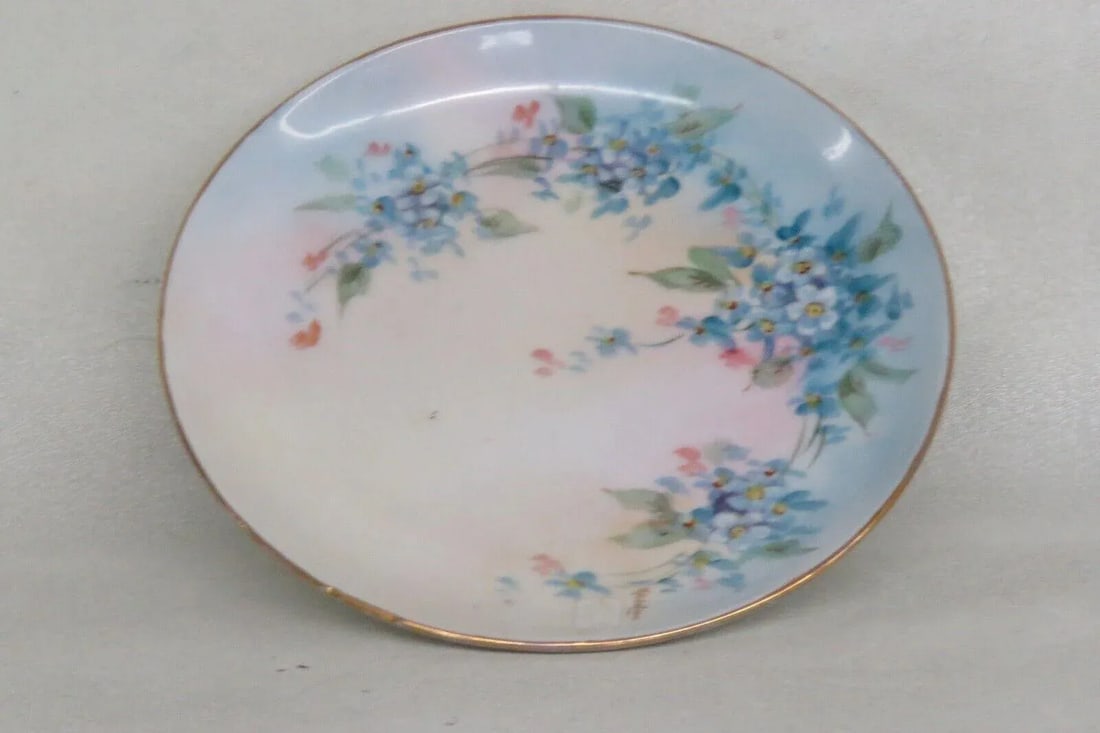 Hutschenreuther Bavaria Favorite Porcelain Forget Me Nots Small Plate - 9
