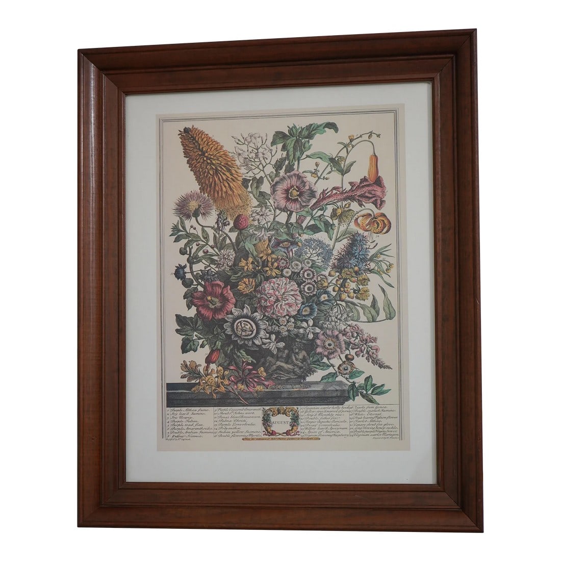 Cherry Framed Floral Botanical Anniversary Print ~ August (1 of 9)
