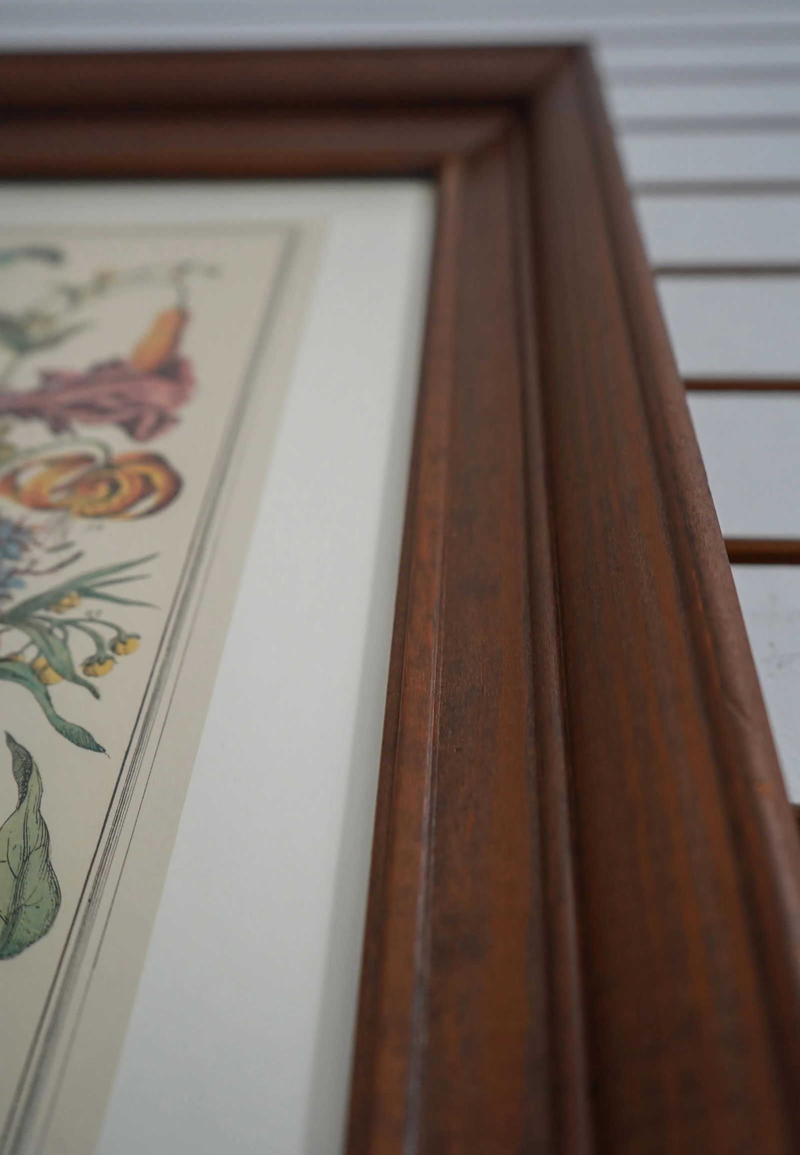 Cherry Framed Floral Botanical Anniversary Print ~ August - 3