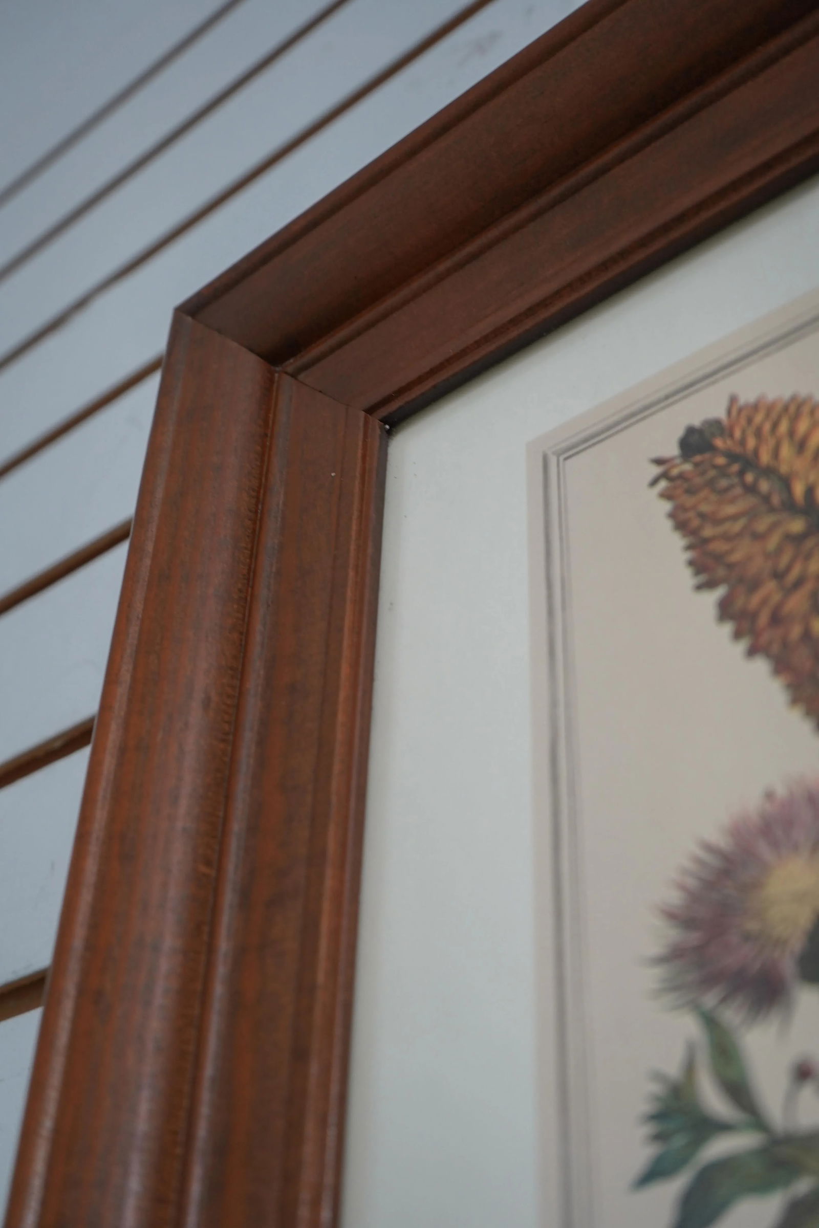 Cherry Framed Floral Botanical Anniversary Print ~ August - 5