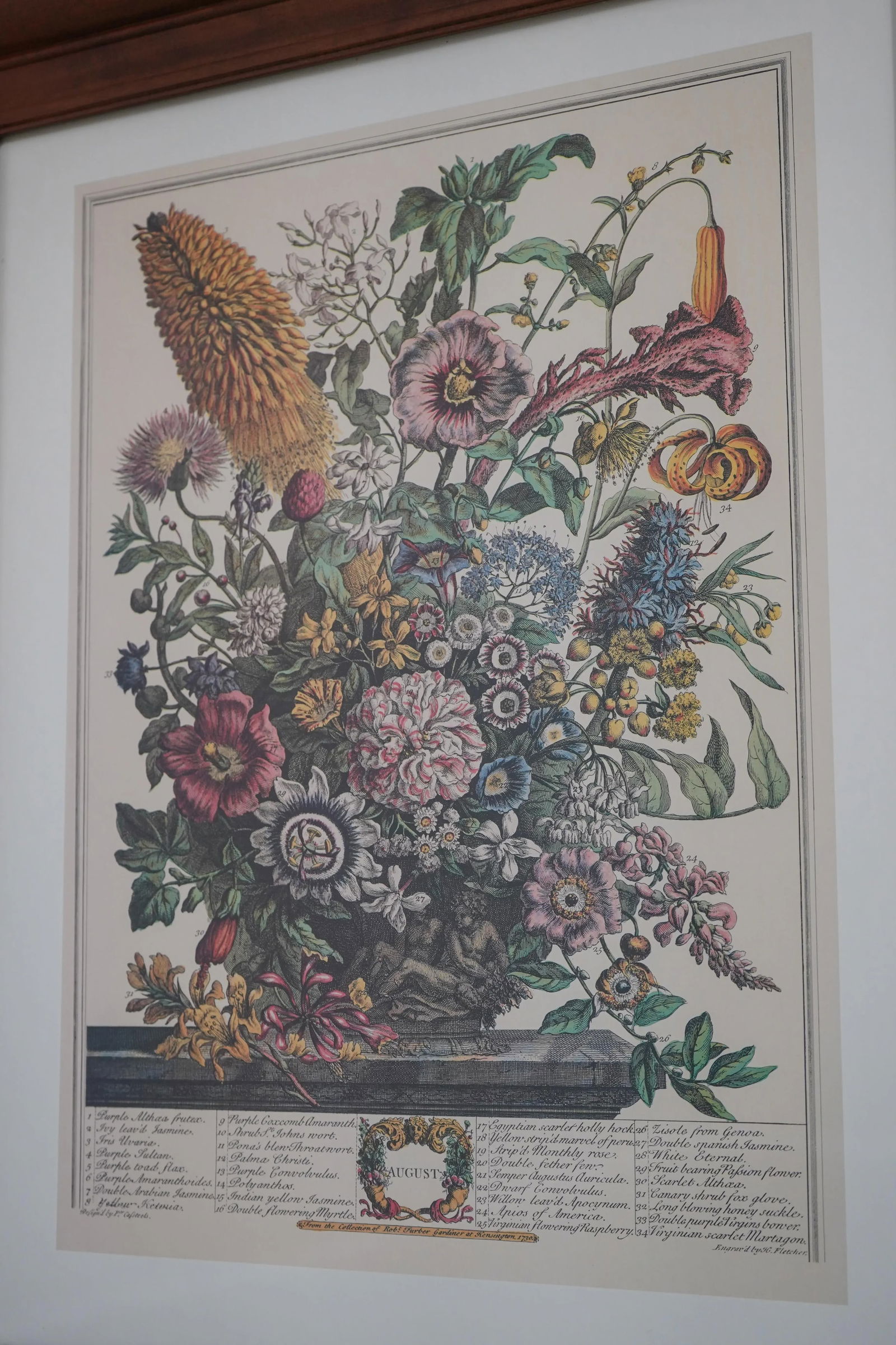 Cherry Framed Floral Botanical Anniversary Print ~ August - 6