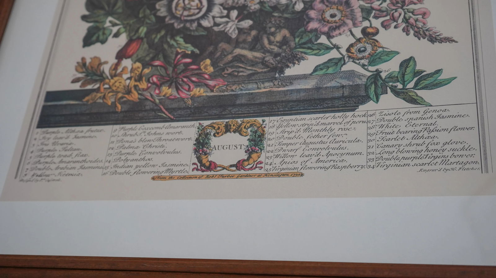 Cherry Framed Floral Botanical Anniversary Print ~ August - 7