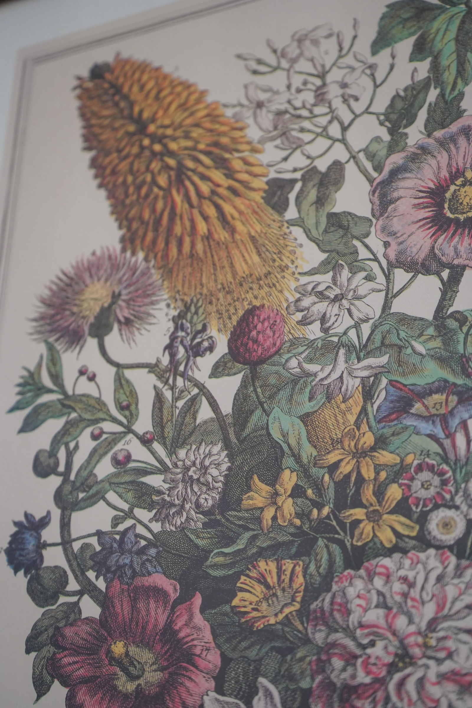 Cherry Framed Floral Botanical Anniversary Print ~ August - 8