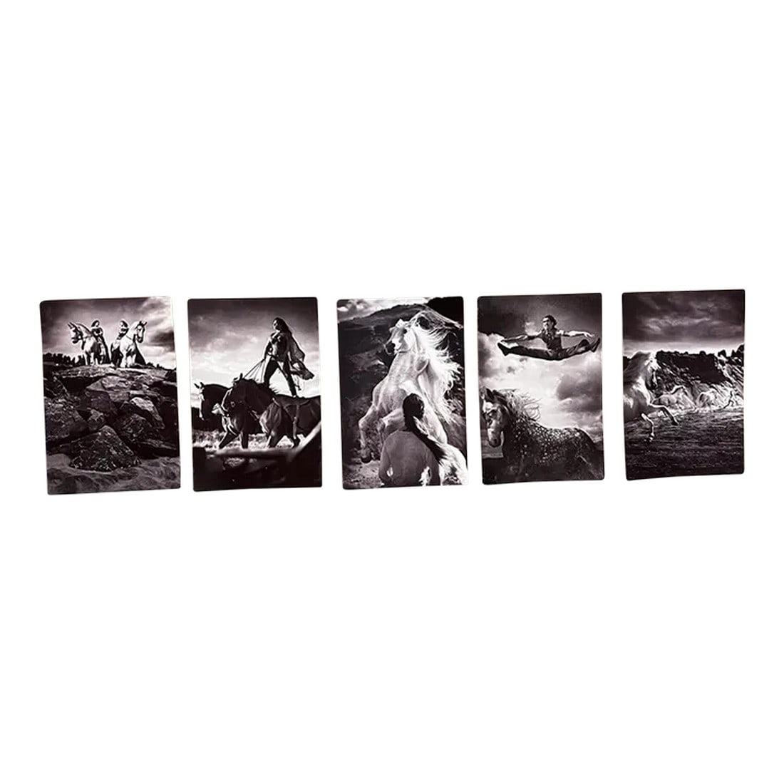 Vintage Cavalia Set of Five Post Card Prints Black and White Canada: AMBIANIC presents Cavalia from Canada Vintage Set of 5 postcards beautiful black and white photos 4 x 6 Original vintage, refer to images. Condition: Alterations: Original Condition Unaltered