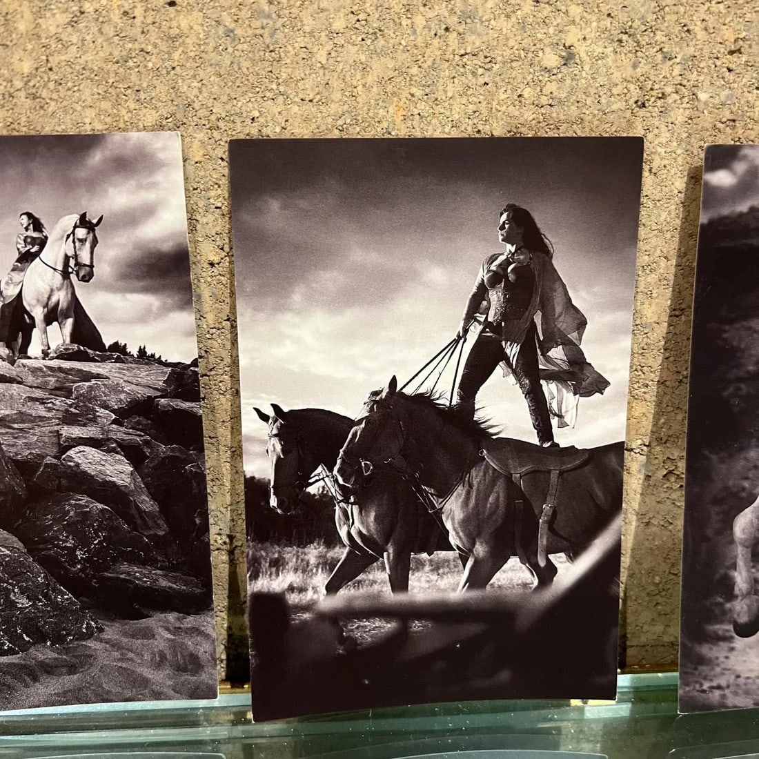 Vintage Cavalia Set of Five Post Card Prints Black and White Canada - 3