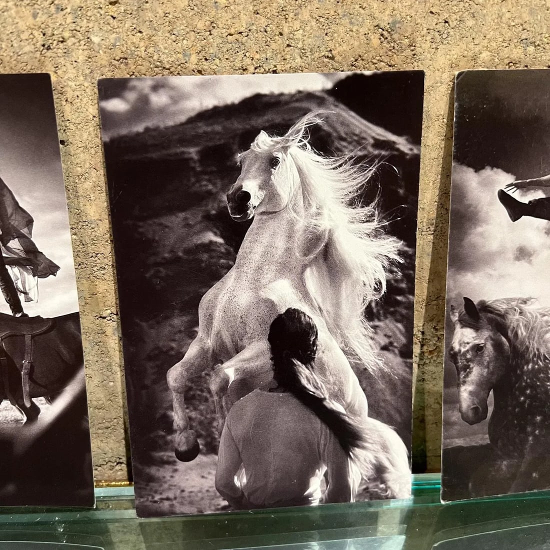 Vintage Cavalia Set of Five Post Card Prints Black and White Canada - 4