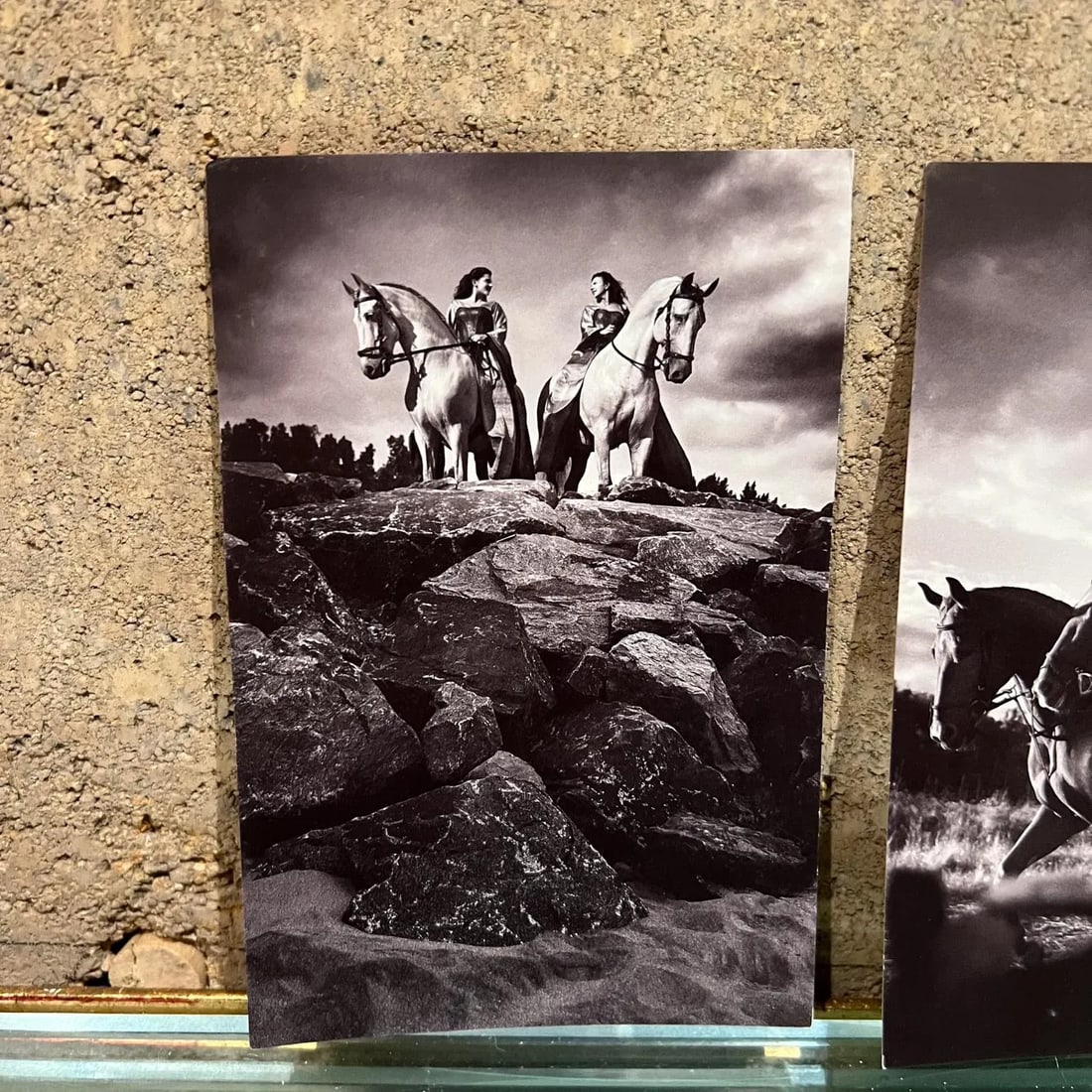 Vintage Cavalia Set of Five Post Card Prints Black and White Canada - 5
