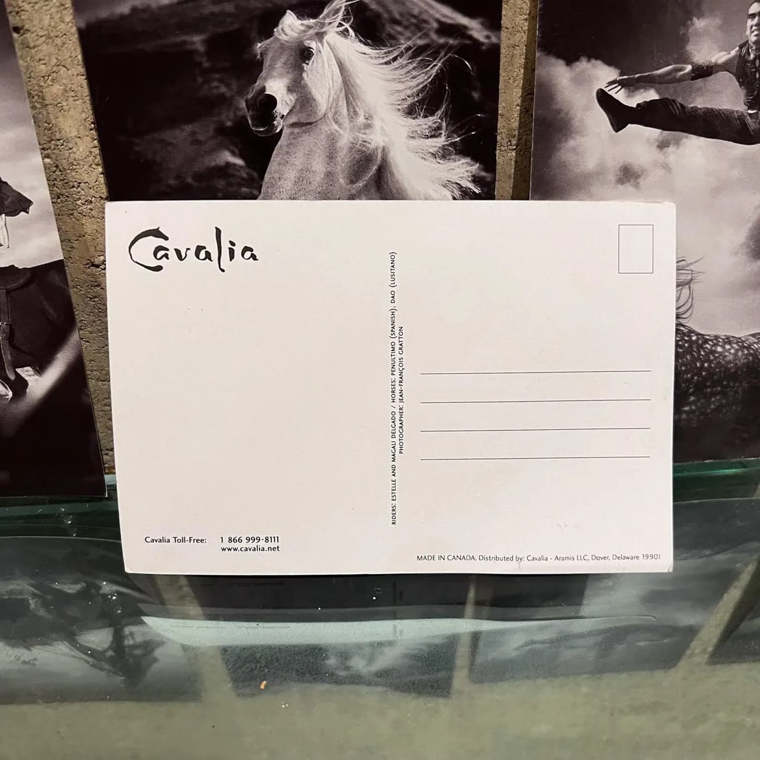 Vintage Cavalia Set of Five Post Card Prints Black and White Canada - 7