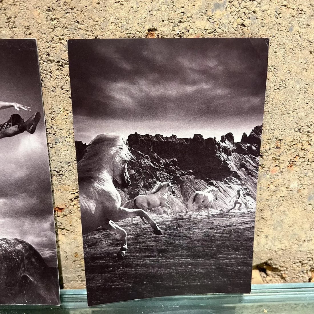 Vintage Cavalia Set of Five Post Card Prints Black and White Canada - 8