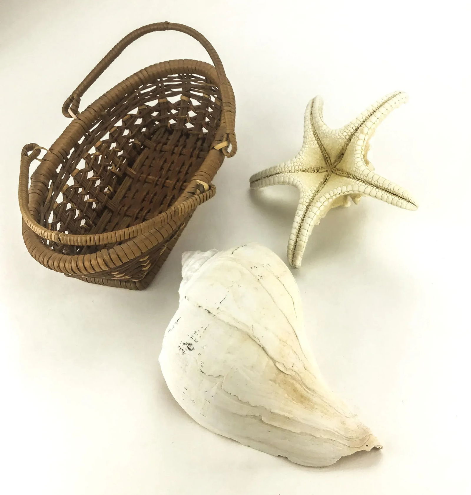 Vintage Basket With Genuine Sea Shell & Starfish - 2