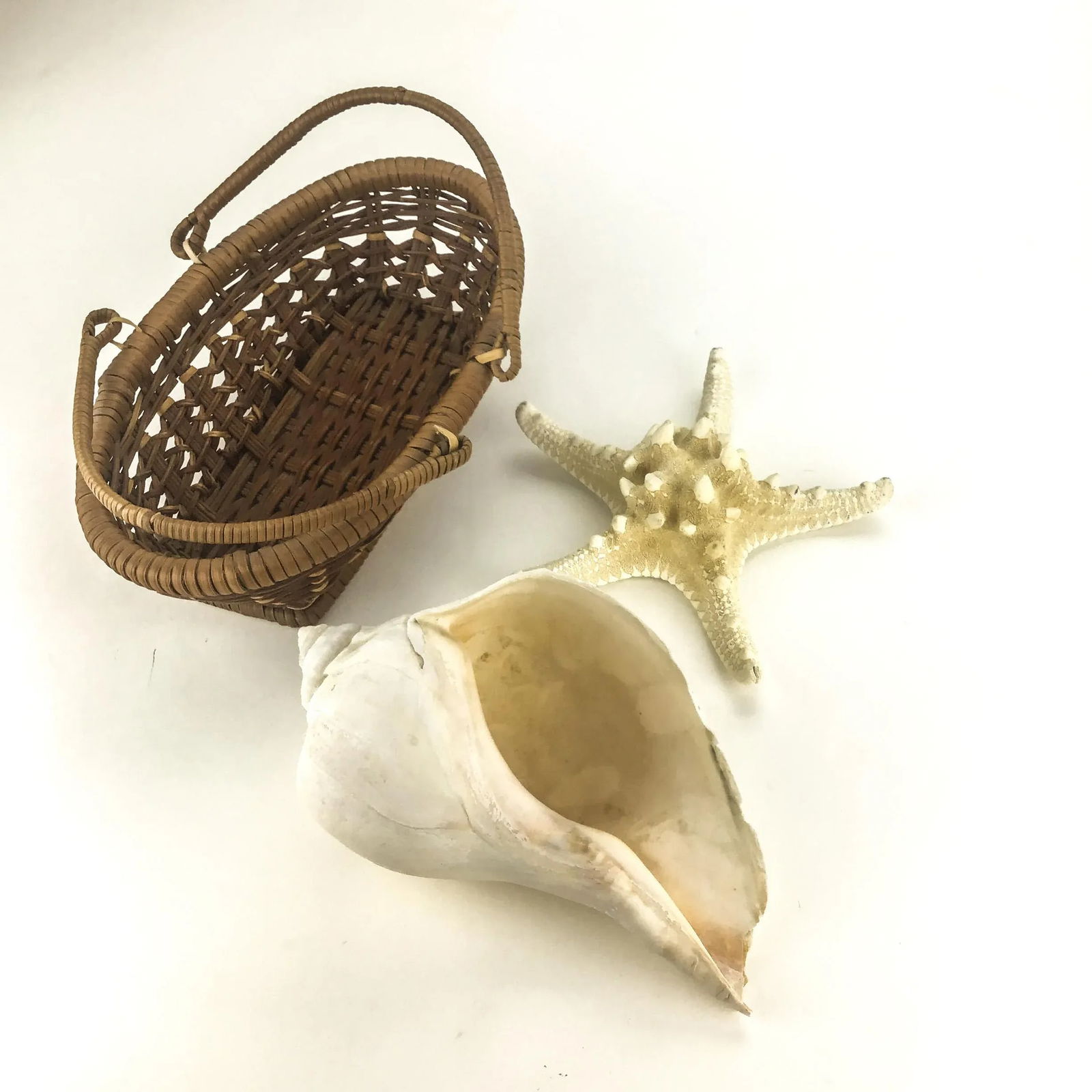 Vintage Basket With Genuine Sea Shell & Starfish - 3