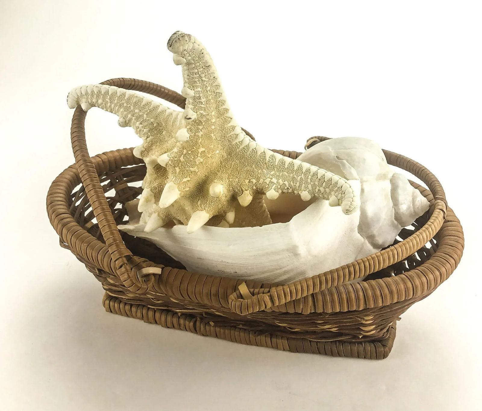 Vintage Basket With Genuine Sea Shell & Starfish - 6