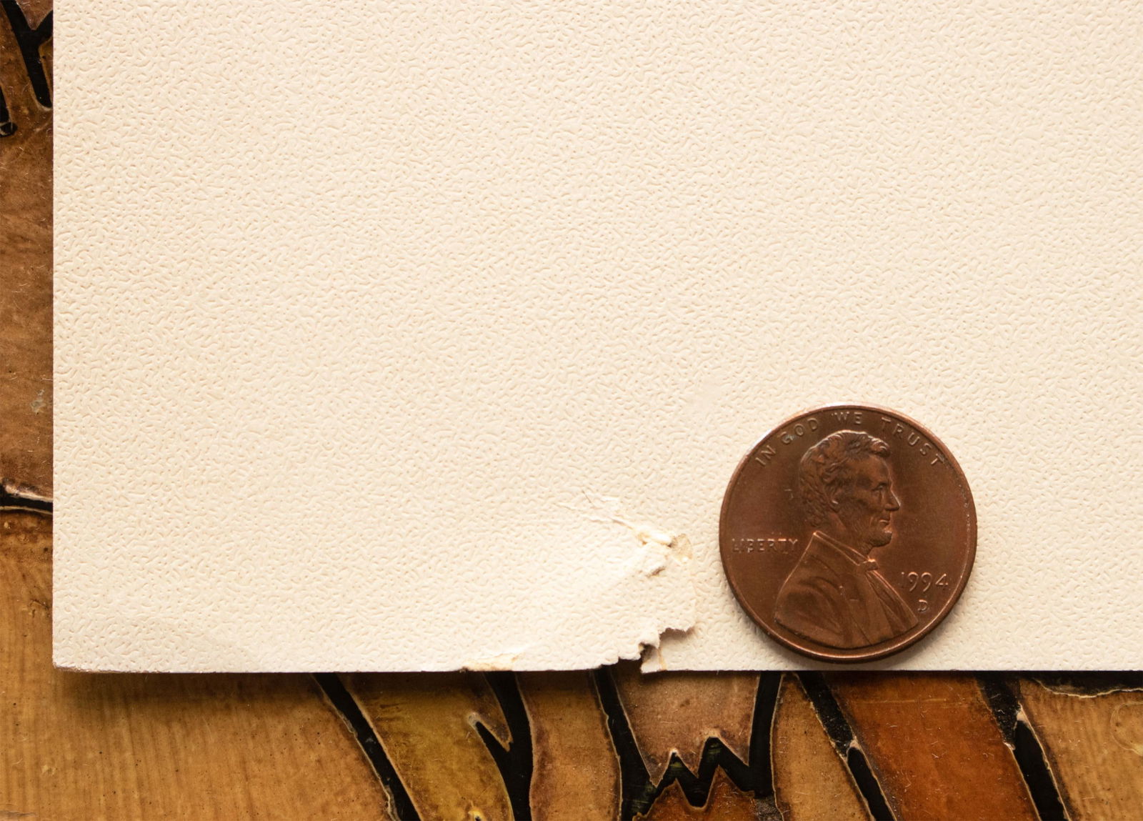 1900s U. P. Hedrick, Original Antique Photogravure of Janesville Grapes - 7