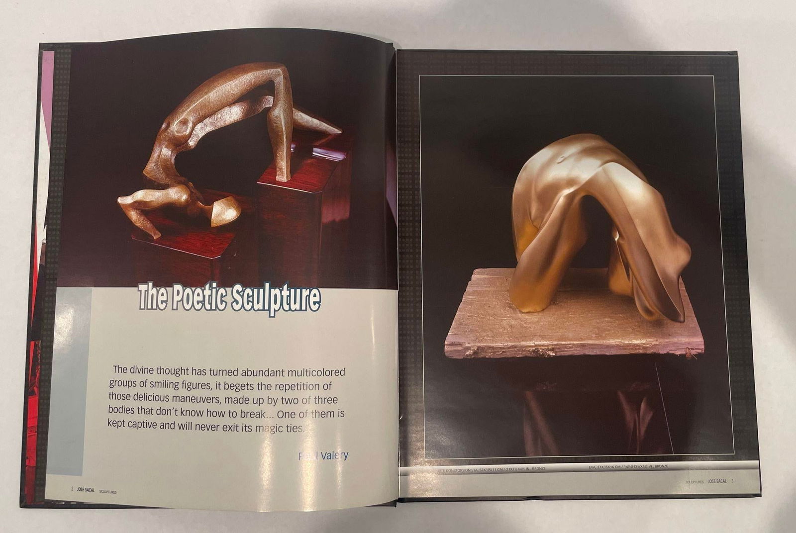 Jose Sacal a Piece of Work Hardcover 1st Edition 2003 - 8