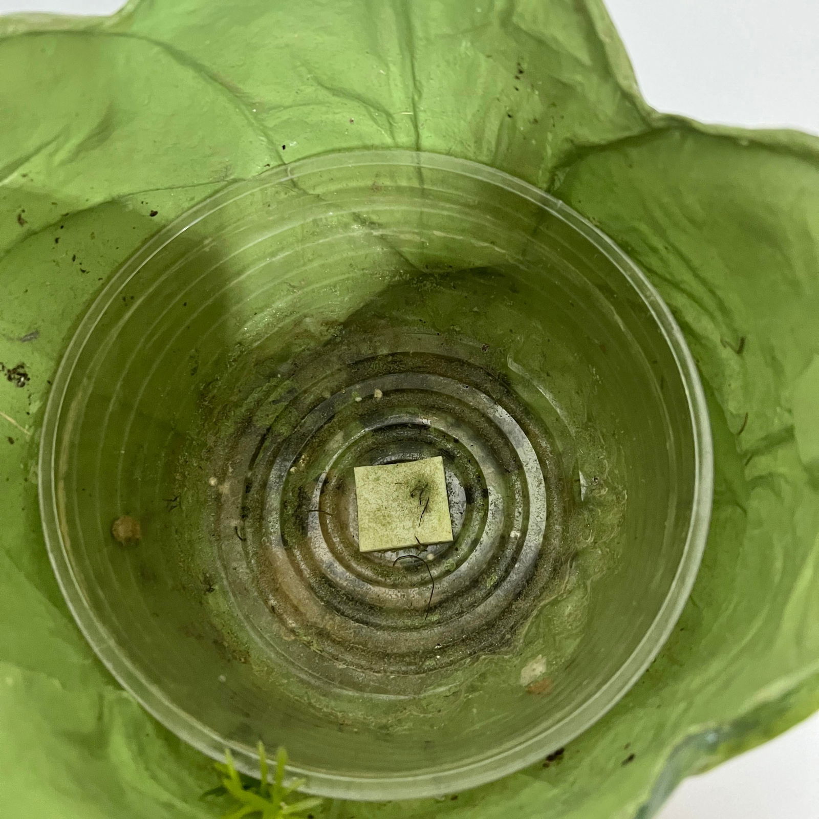 Vintage Handcrafted Cottage Core Paper Mache Cabbage Cachepot - 5