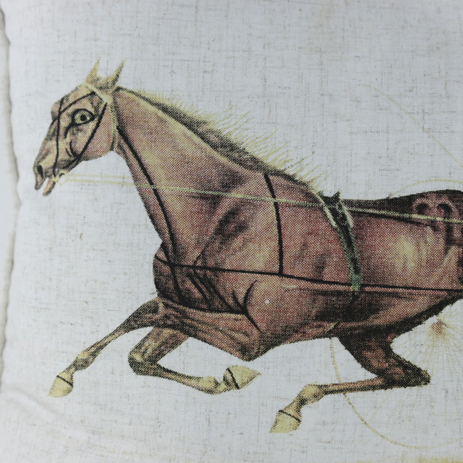 Equestrian Style Vintage Horse and Carriage Pillow - 7