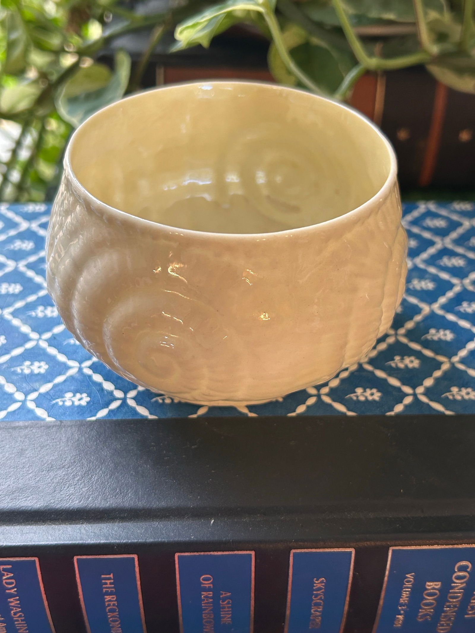 1950's Belleek "œToy Shell" Porcelain Open Sugar Bowl - 2