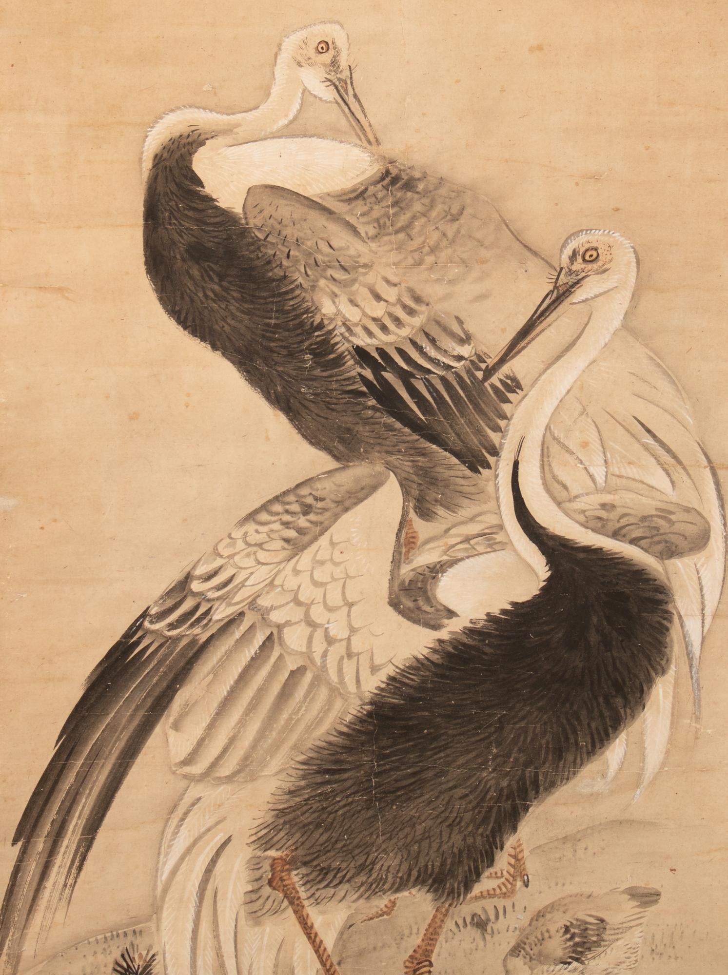 XL 1910 Meiji Era Japanese Painted Monochrome Scroll "Cranes and Turtles" - 3