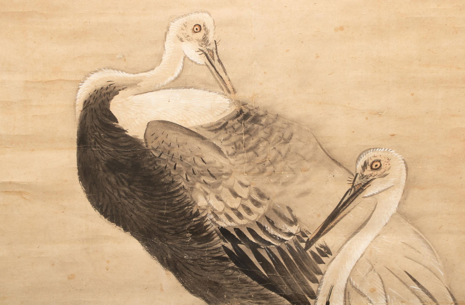 XL 1910 Meiji Era Japanese Painted Monochrome Scroll "Cranes and Turtles" - 5