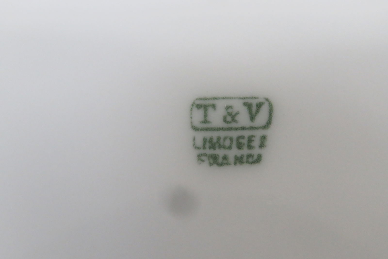 Limoges T and v Hand Painted Bird on a Brunch Large Round Vanity Candy Box 4386b - 5