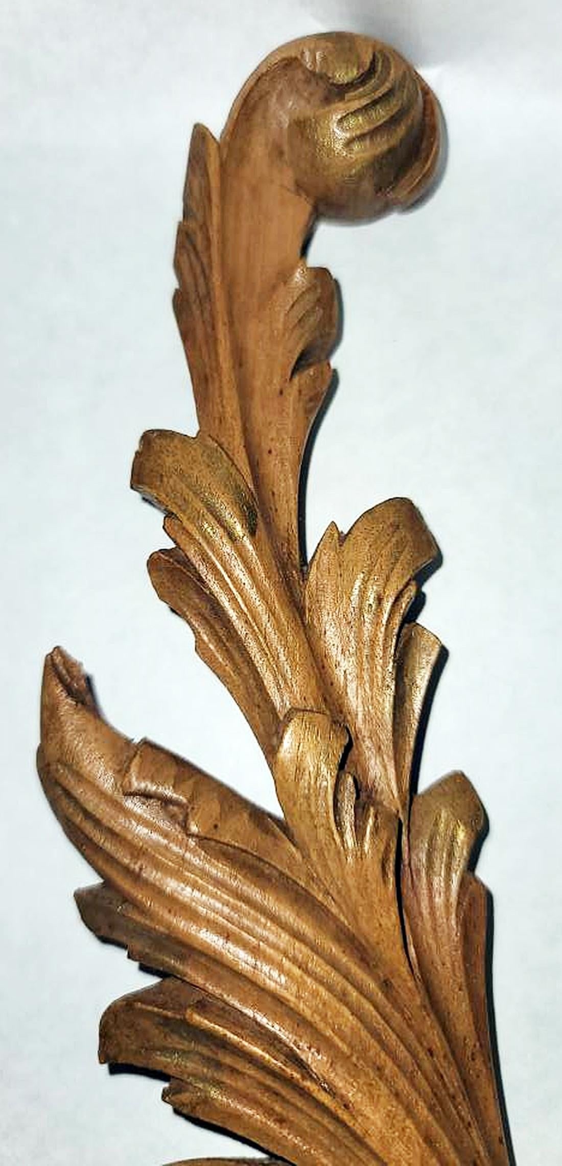 Antique French Walnut Rococo Carvings, a Pair - 4