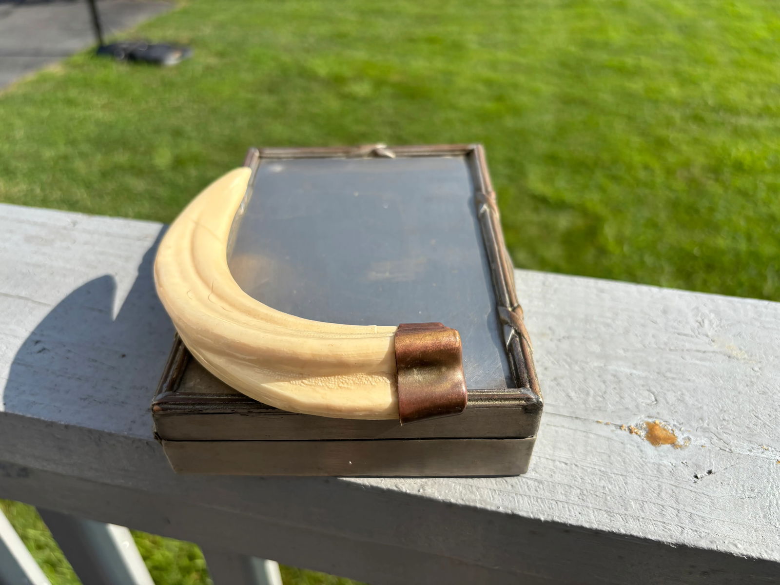 Mid 20th Century Faux Tusk Box - 6