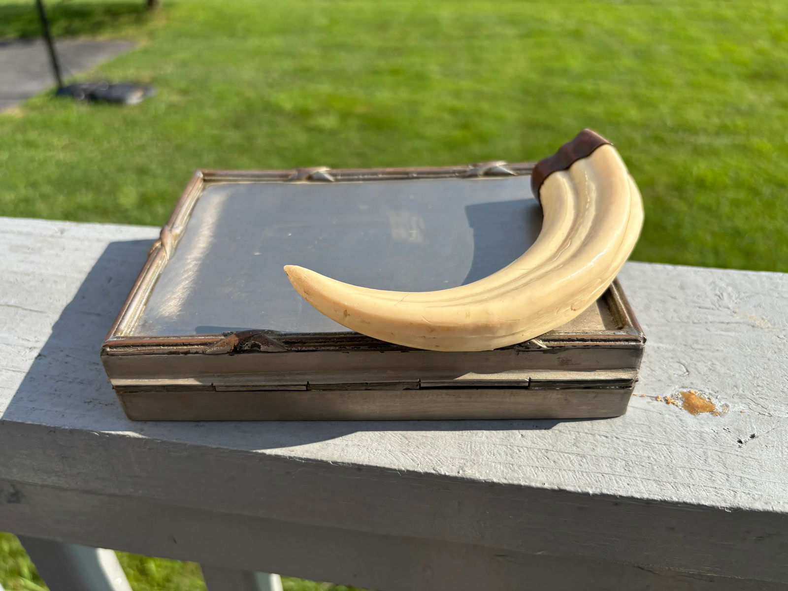 Mid 20th Century Faux Tusk Box - 7