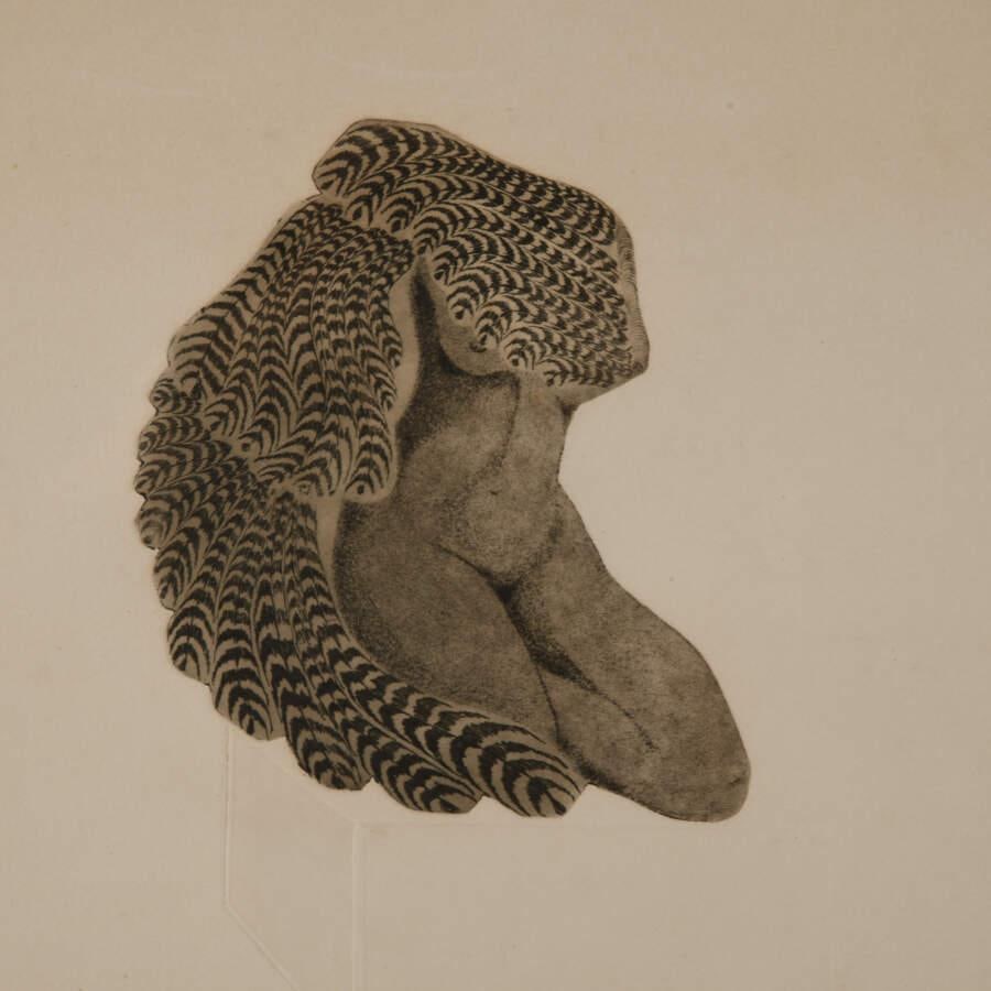 Framed Paper Print "Condor Man" Signed and Numbered - 3