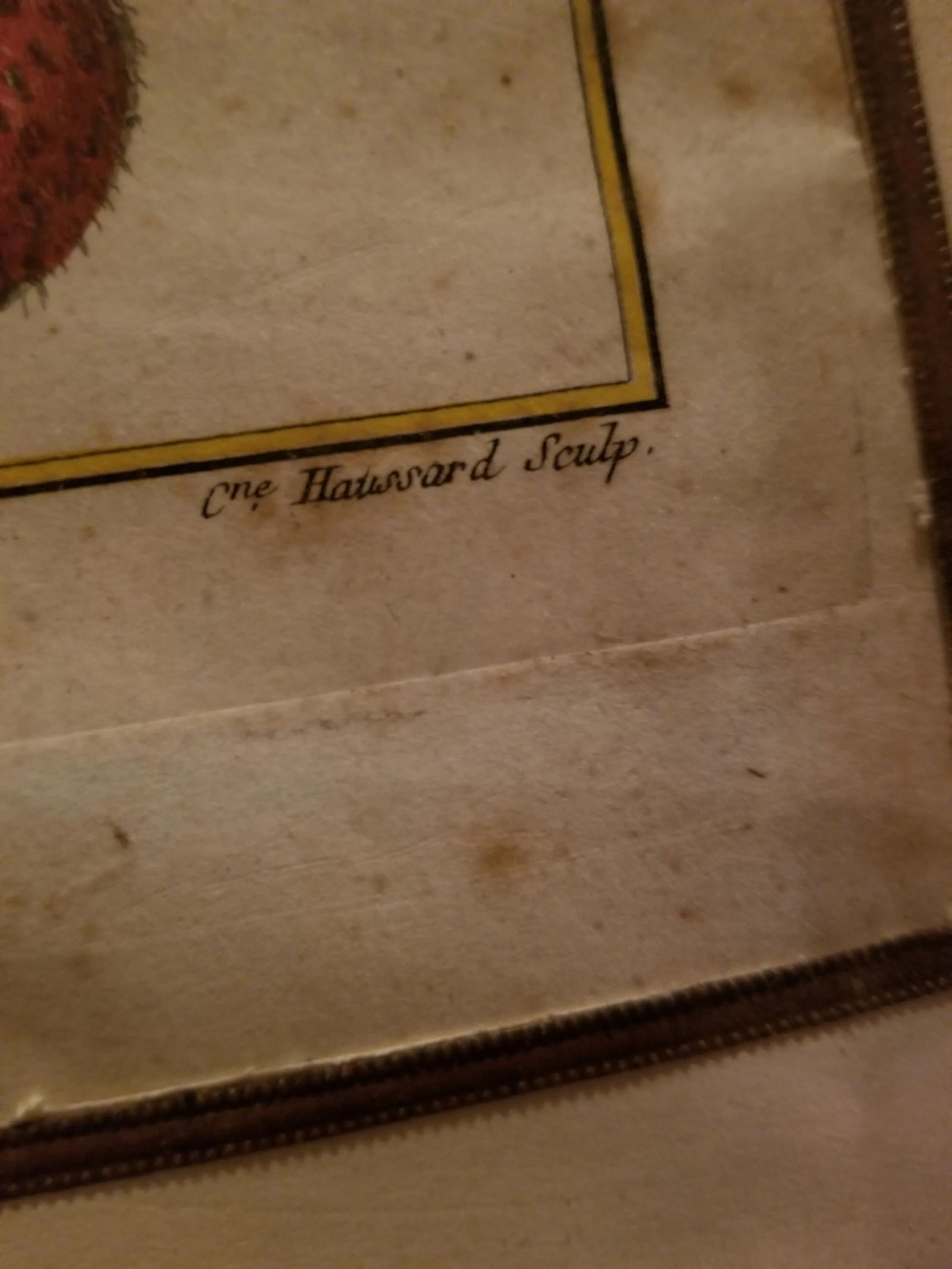 18th Century Strawberry Print - 5