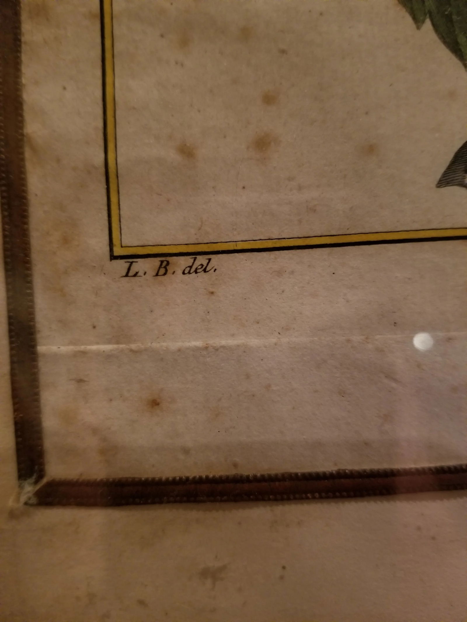 18th Century Strawberry Print - 6