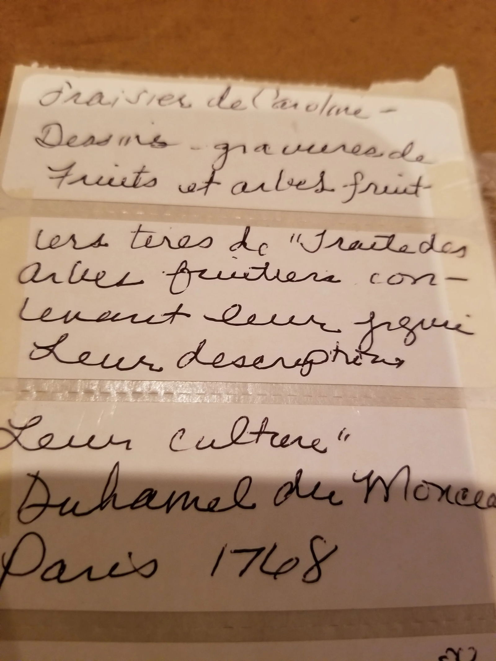 18th Century Strawberry Print - 8