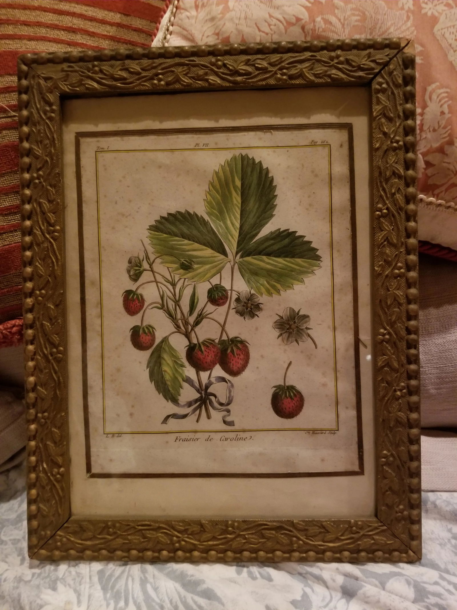 18th Century Strawberry Print - 9