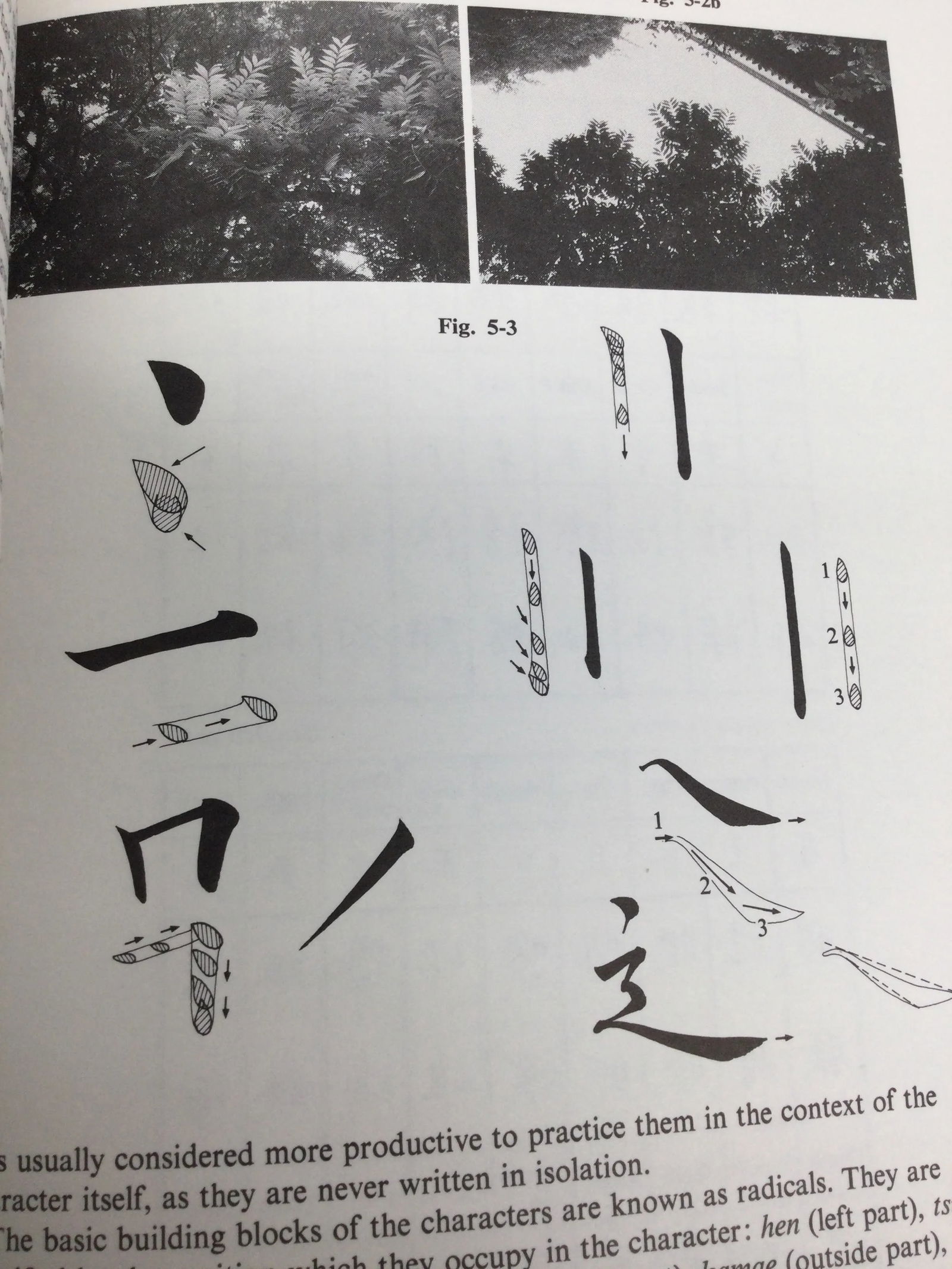 Sho Do - the Art of Coordinating Mind, Body and Brush - 3