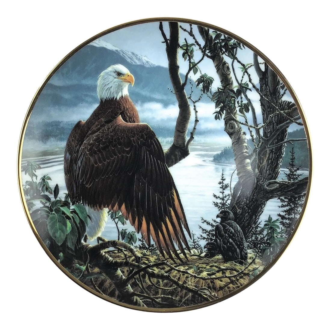1990s Collectible Porcelain Printed Bald Eagle Series Plate (1 of 7)