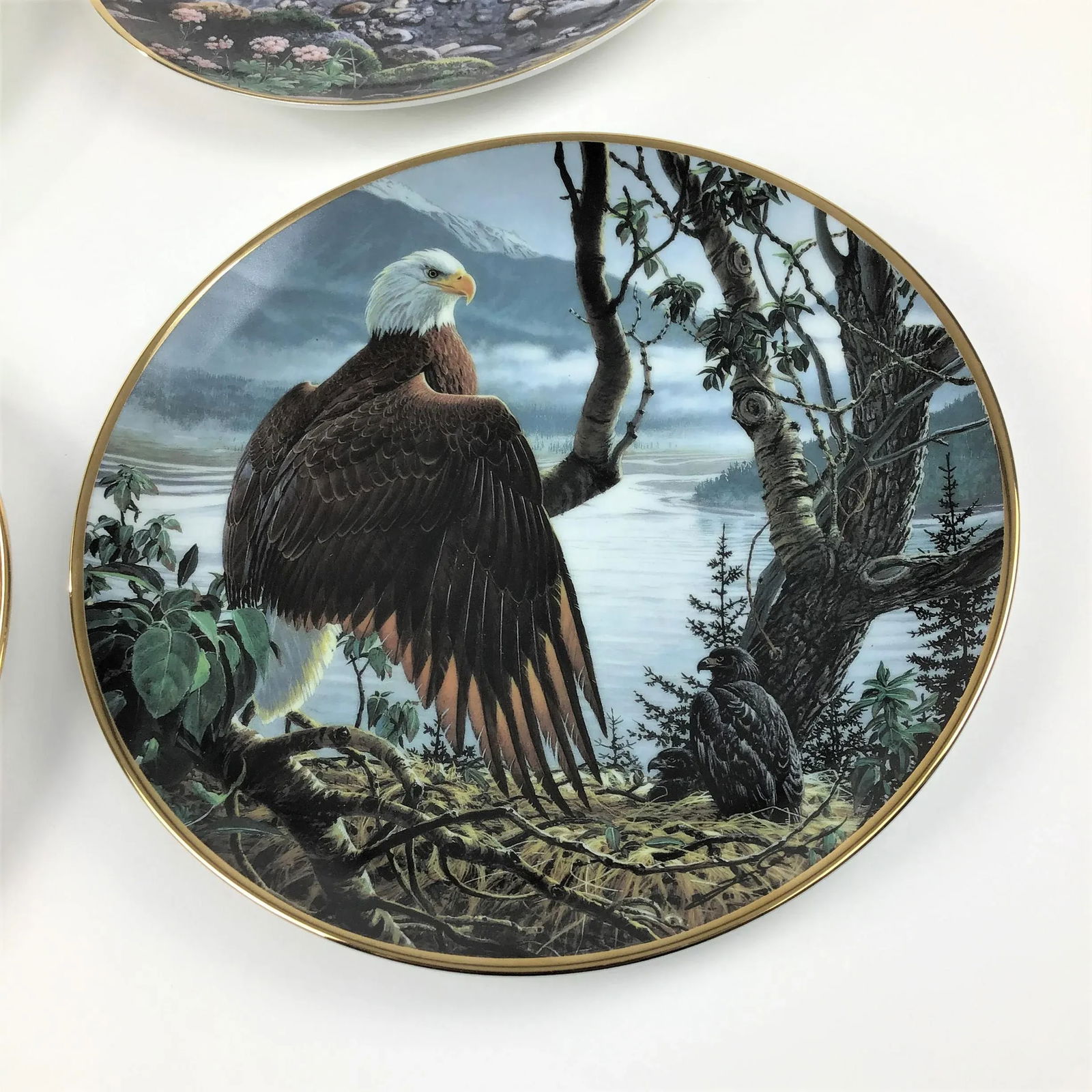 1990s Collectible Porcelain Printed Bald Eagle Series Plate - 2
