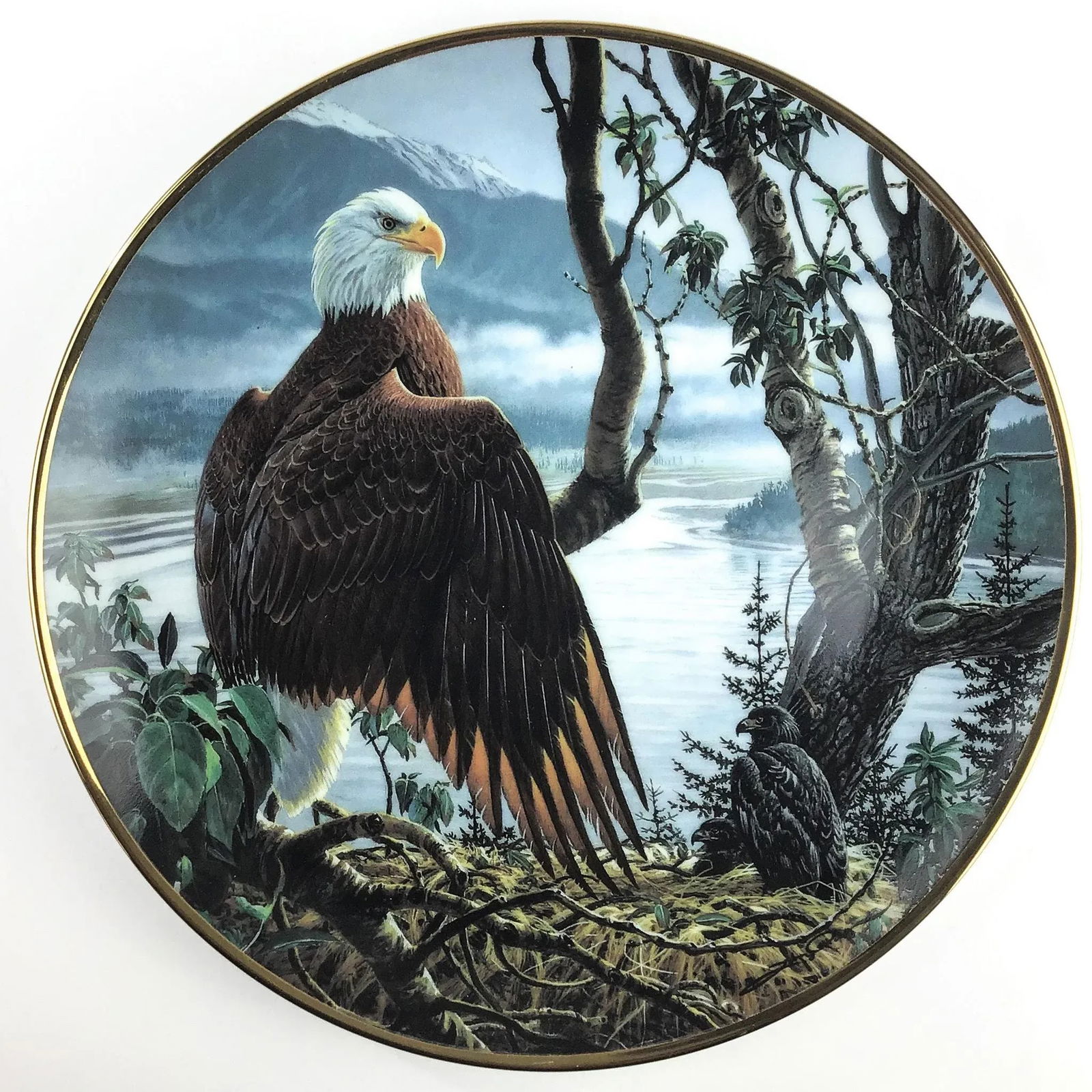 1990s Collectible Porcelain Printed Bald Eagle Series Plate - 7