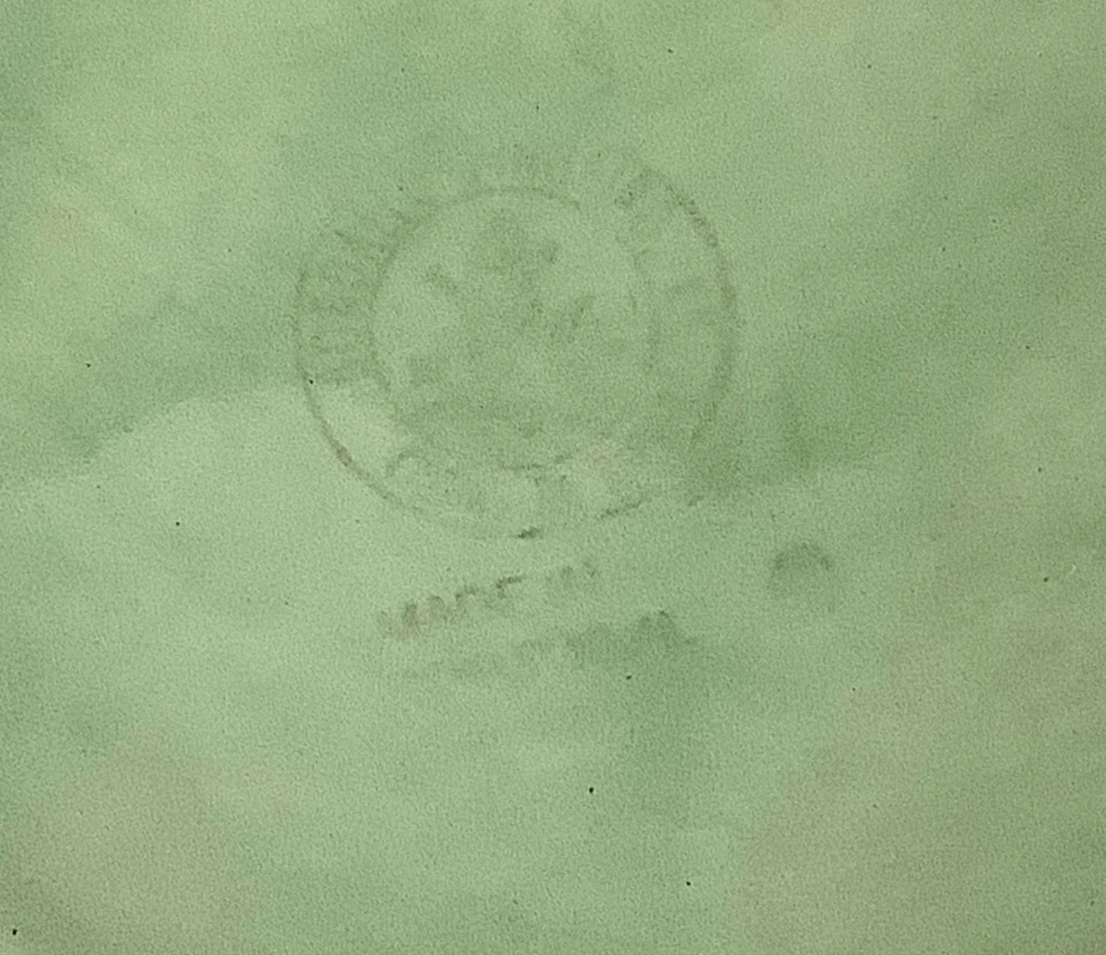 Vintage Bordallo Pinheiro Portugal Majolica Leaf Platter, Autumn Harvest - 6