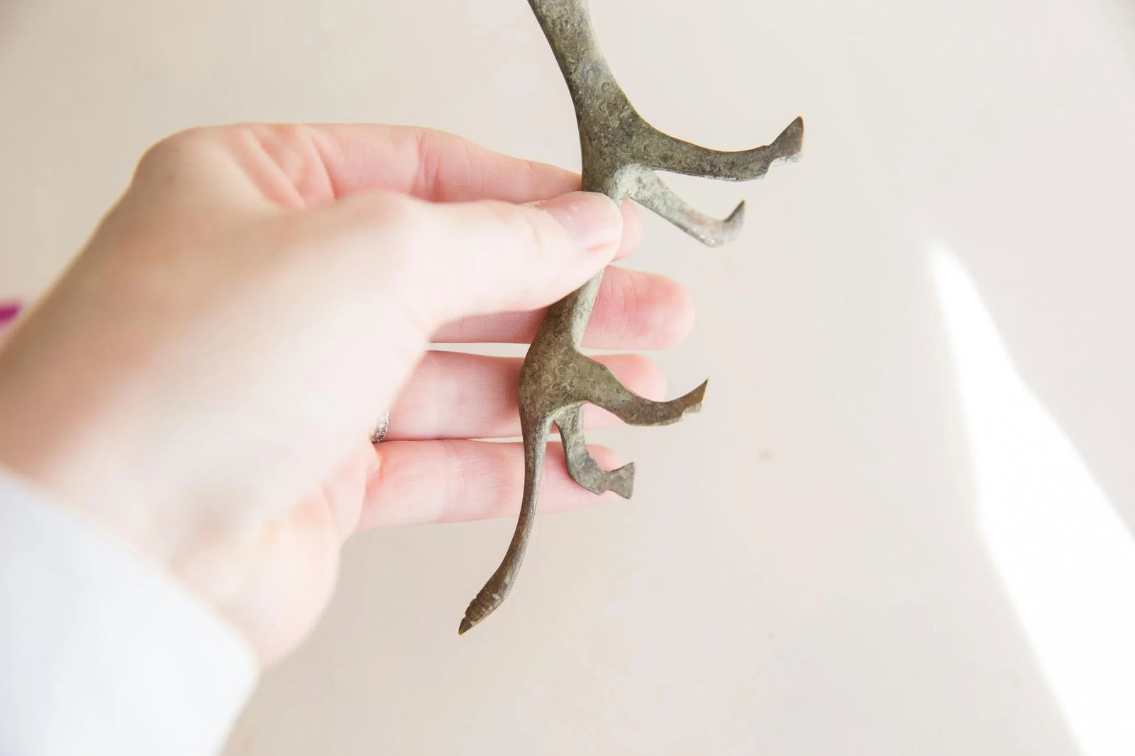 Oxidized Vintage African Cheetah - 2