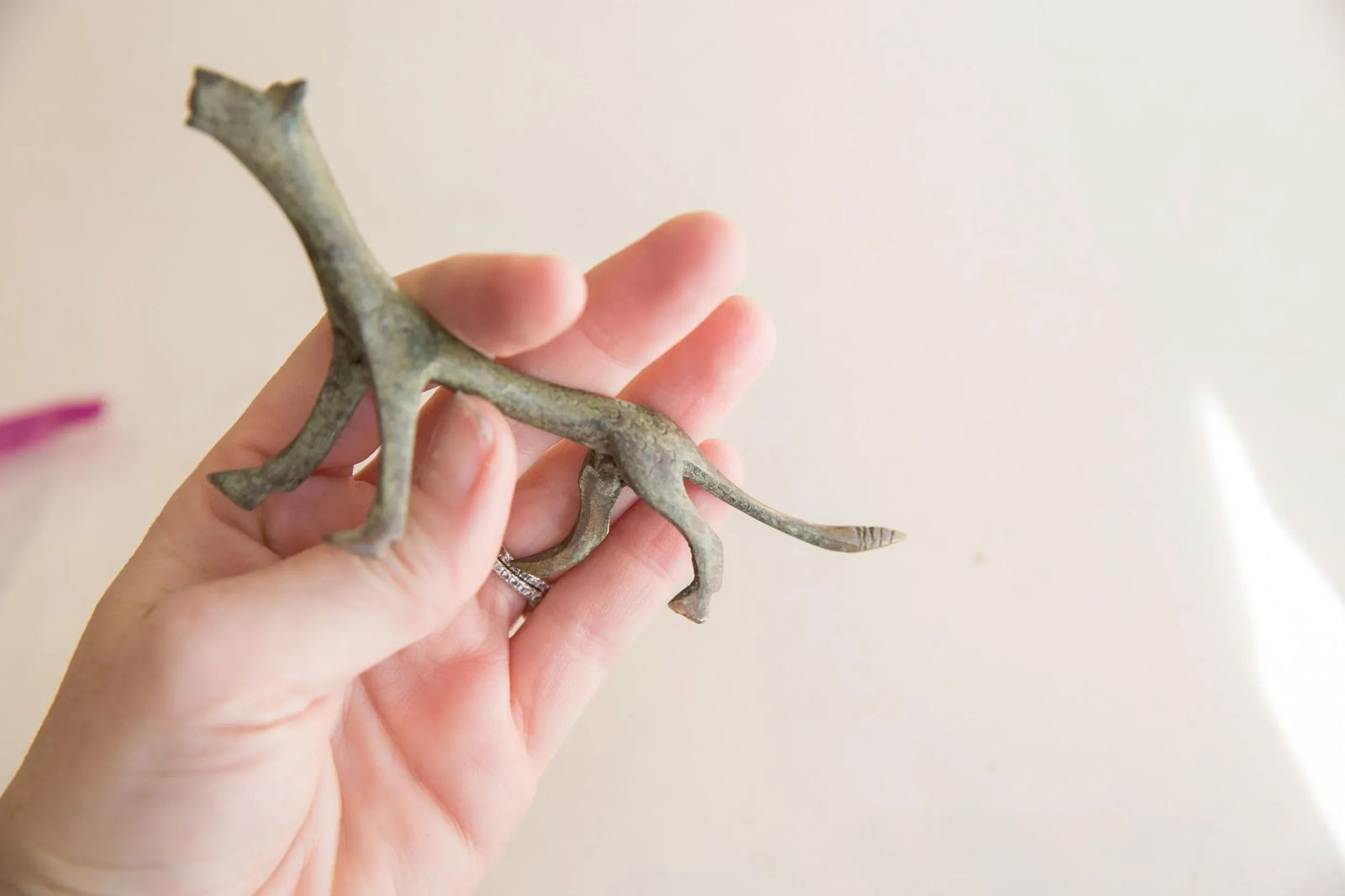 Oxidized Vintage African Cheetah - 3