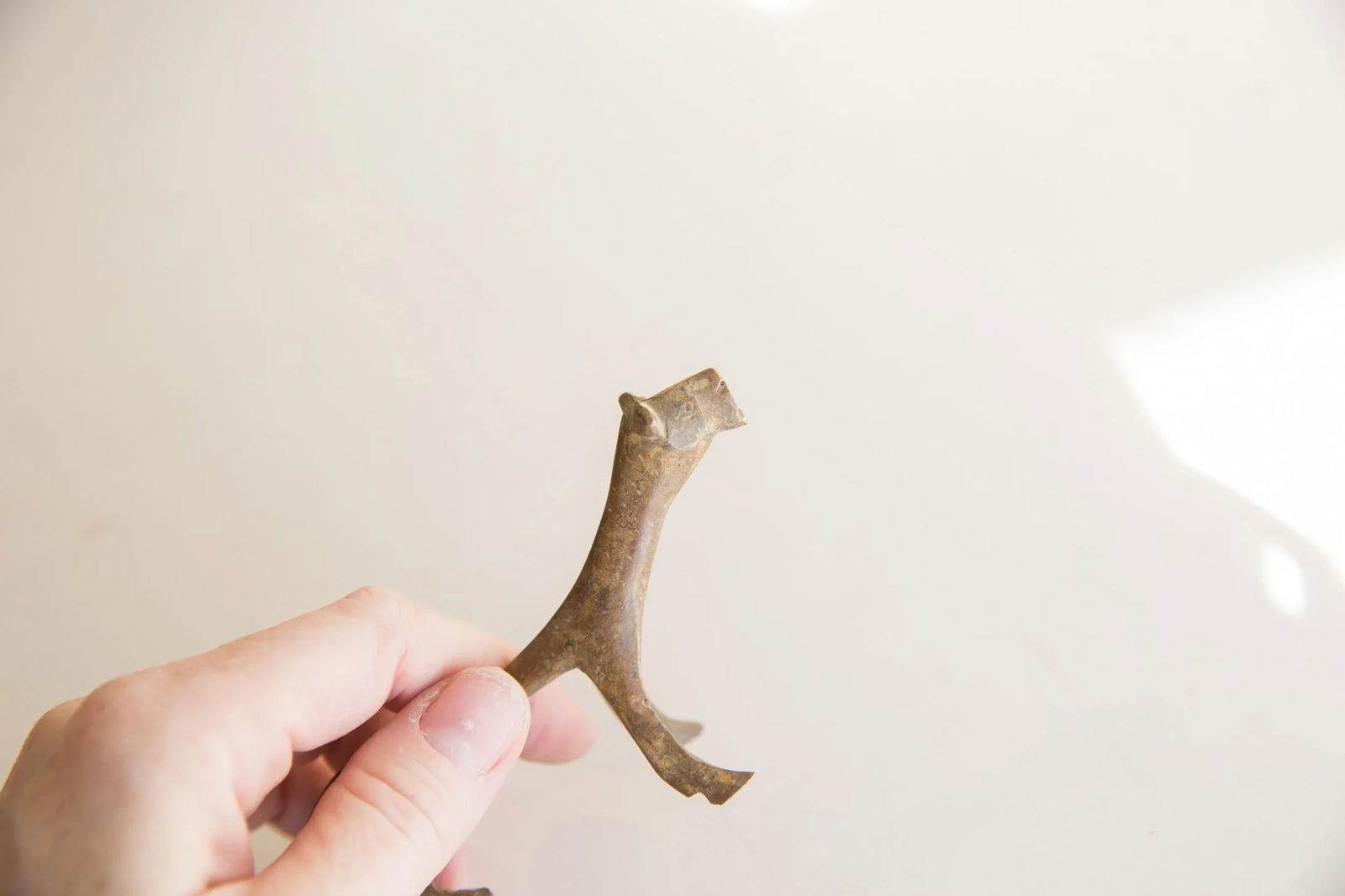 Vintage African Lioness - 2