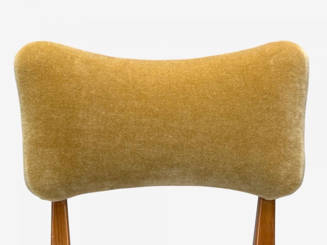 Guglielmo Pecorini, Stained Wood, Camel Mohair, Low Lounge Chair, Italy, 1950s - 7